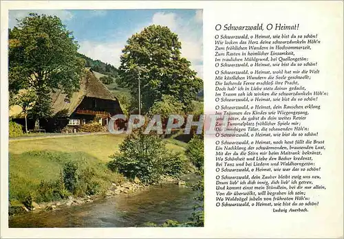 Cartes postales moderne o Schwarzwald o Heimat