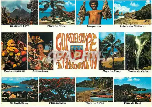 Cartes postales moderne Guadeloupe Panorama