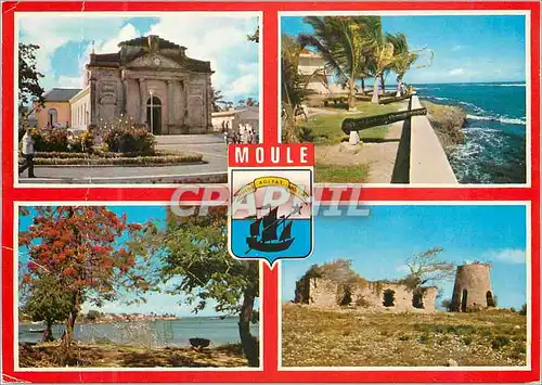 Cartes postales moderne Guadeloupe Moule