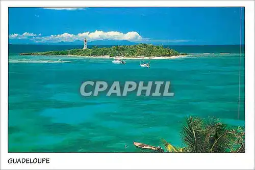 Cartes postales moderne Guadeloupe