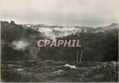 Cartes postales moderne Guyane Francaise Vue panoramique des Tumuc-Humac Expedition Guyane Tumuc Humac