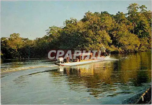 Cartes postales moderne Guyane Francaise et Surinam Haut Maroni Pirogues de Touristes