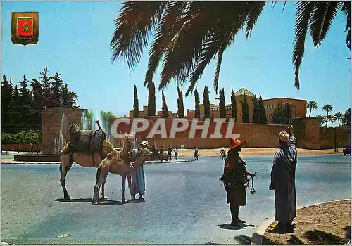 Cartes postales moderne Marrakech