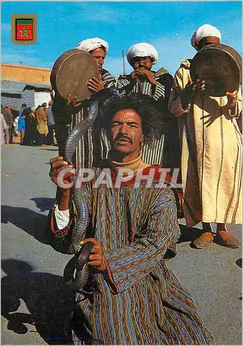 Cartes postales moderne Marrakech Charmerus de serpents