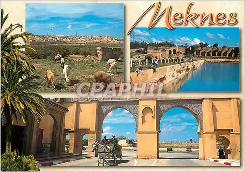 Cartes postales moderne Meknes