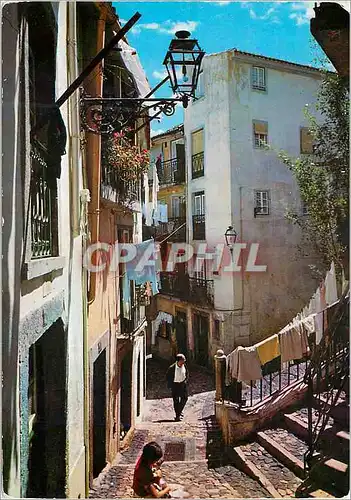 Cartes postales moderne Lisboa Rue typique d'Alfama