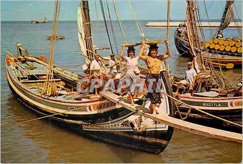 Cartes postales moderne Lisboa Loading of local craft on the Tagus Bateaux