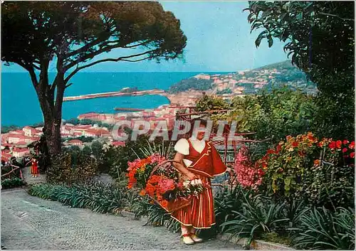 Cartes postales moderne Funchal madeira vue occidentale