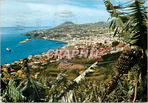 Cartes postales moderne Funchal madeira vue occidentale