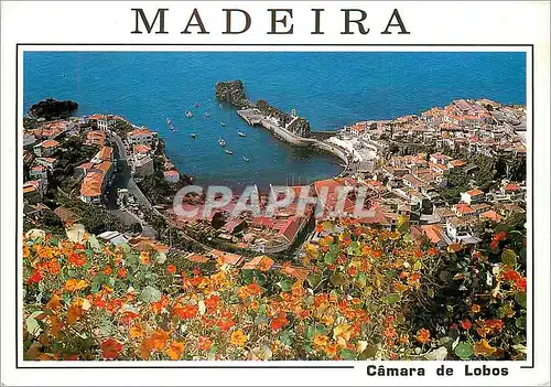 Cartes postales moderne Camara de lobos madeira vue partielle