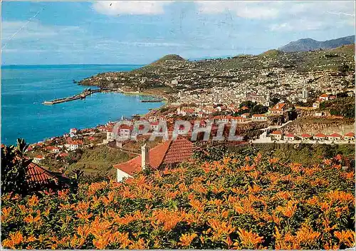 Cartes postales moderne Funchal madeira vue occidentale