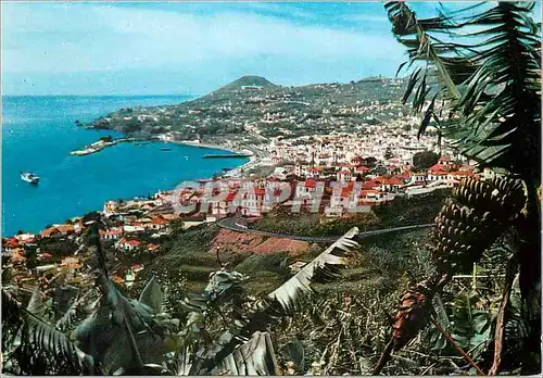 Cartes postales moderne Funchal madeira vue occidentale