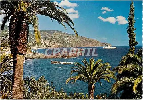 Cartes postales moderne Funchal madeira vue orientale