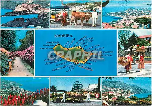 Cartes postales moderne Madeira les meilleures vues de madere