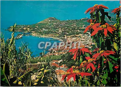 Cartes postales moderne Funchal madeira vue occidentale