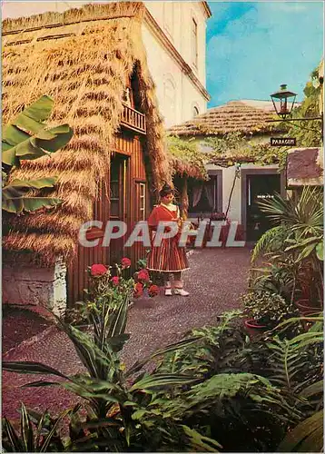 Cartes postales moderne Madeira maison typique
