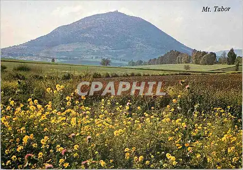 Cartes postales moderne Mont Tabor