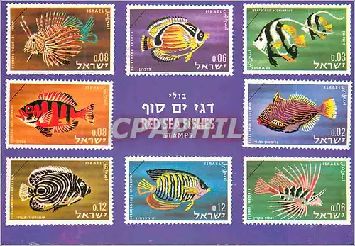 Cartes postales moderne Poissons