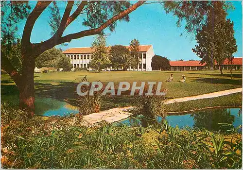 Cartes postales moderne Jerusalem The Hebrew University of Jerusalem