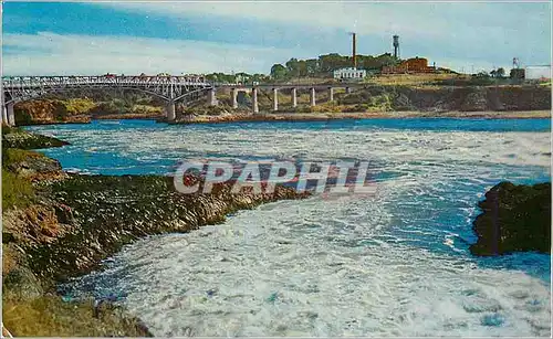 Cartes postales moderne Canada Saint John New Brunswick World-Famous Reversing Falls