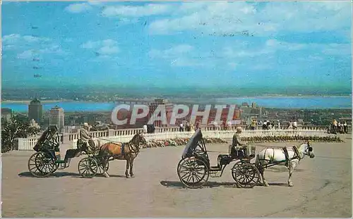 Cartes postales moderne Canada Montreal Des Caleches sur le Mont Royal