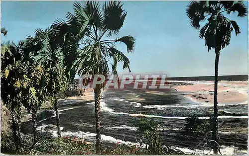 Cartes postales moderne Africolor Vue sur l'Ocean Atlantique