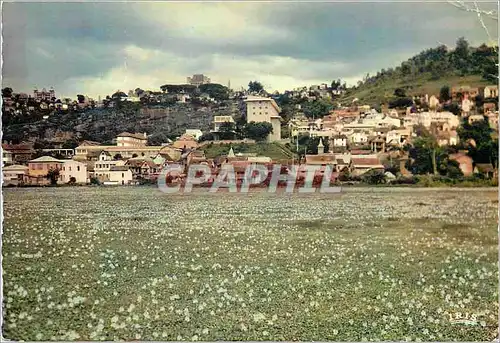 Cartes postales moderne Tananarive Jacinthes d'eau