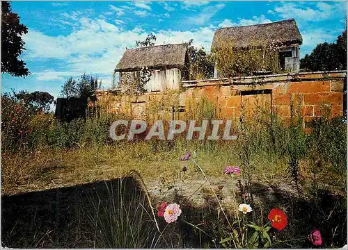 Cartes postales moderne Madagascar Tananarive Tombeaux royaux a Antsahadinta