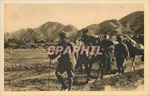 Cartes postales La Guerre au Maroc