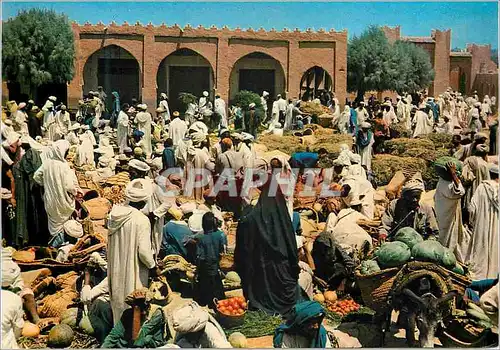 Cartes postales moderne Rissani Sud Marocain Jour du Souk Ane Donkey