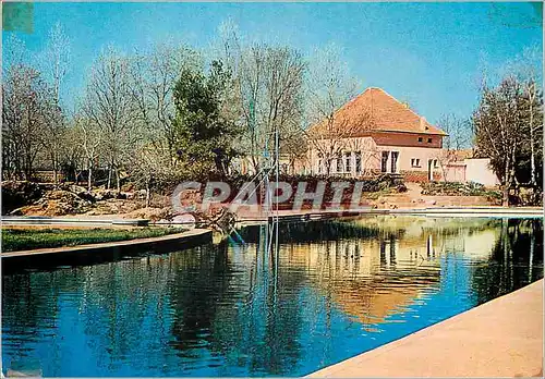 Cartes postales moderne Piscine Immouzer du Kandar