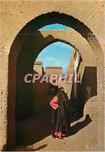 Cartes postales moderne Tamgroute Zagora