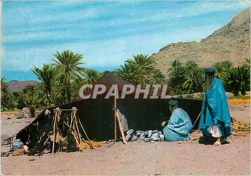 Cartes postales moderne Hommes bleus au campement