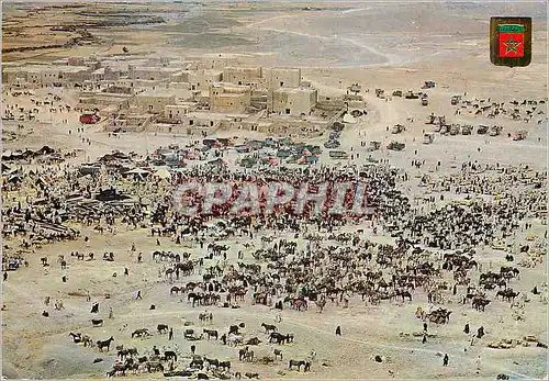 Cartes postales moderne Marruecos Tipico Maroc Typique