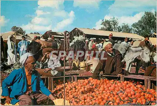 Cartes postales moderne Maroc Pittoresque Jour du Souk