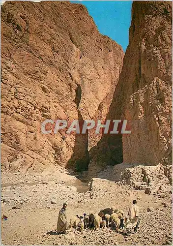 Cartes postales moderne Tinghir Les Gorges du Todra