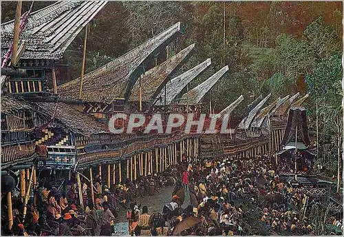 Cartes postales moderne Suasana pesta perkabungan di Landa Tana Toraja Sulawesi Selatan