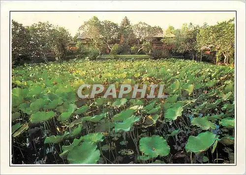 Cartes postales moderne Temple in Ubud