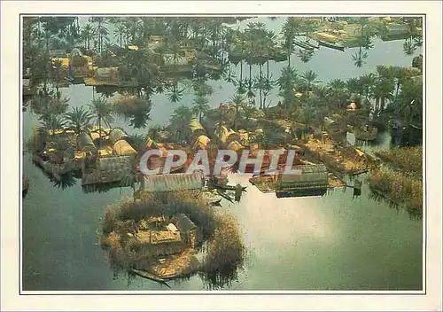 Cartes postales moderne Les cours fluctuants du Tigre et de l'Euphrate ont cree