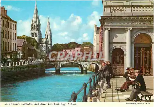 Cartes postales moderne St Finbarrs Cathedral and River Lee Cork City Ireland