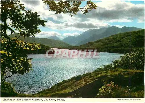 Cartes postales moderne Evening on the Lakes of Killarney Co Kerry Ireland