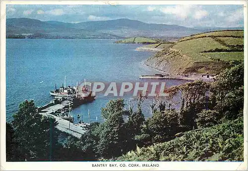 Cartes postales moderne Bantry Bay Co Cork Ireland Bateaux