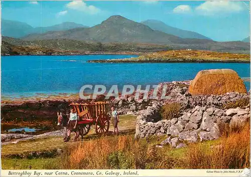 Cartes postales moderne Bertraghboy Bay near Carna Connemara Co Galway Ireland  Ane Donkey