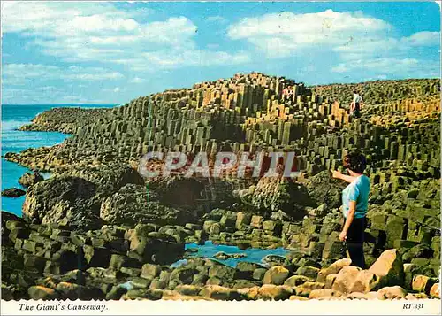 Cartes postales moderne The giants causeway