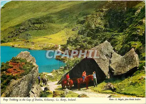 Cartes postales moderne Pony trekking in the Gap of Dunloe Killarney Co Kerry Ireland