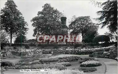 Cartes postales moderne The Dingle Shrewsbury