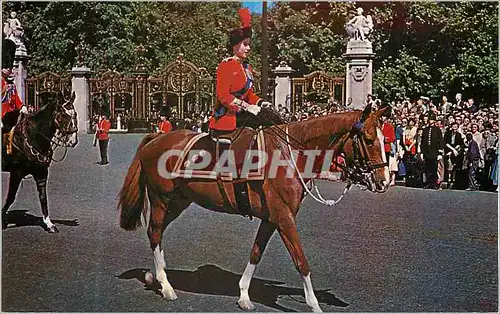 Cartes postales moderne HM The Queen at Trooping The Colour Ceremony London