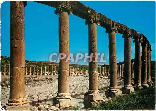 Cartes postales moderne The Forum of Jerash Jerash