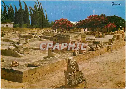 Cartes postales moderne Jericho Hisham Palace(8th Century) showing the Ornamental pool of the Palace