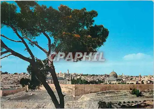 Cartes postales moderne General View of Jerusalem